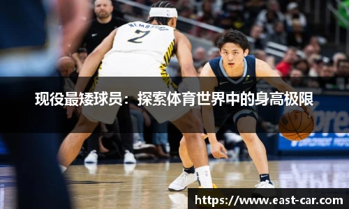 南宫NG·28